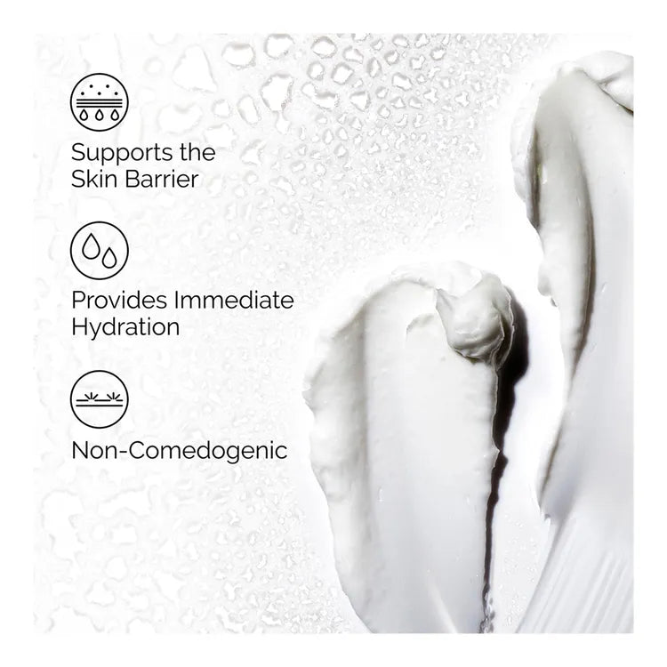 The Ordinary Natural Moisturizing Factors + HA